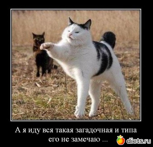 5 ����: ����