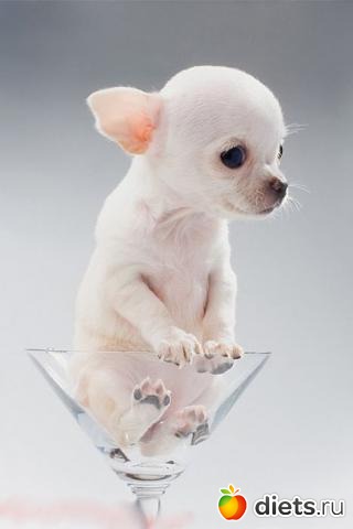 ����������))))