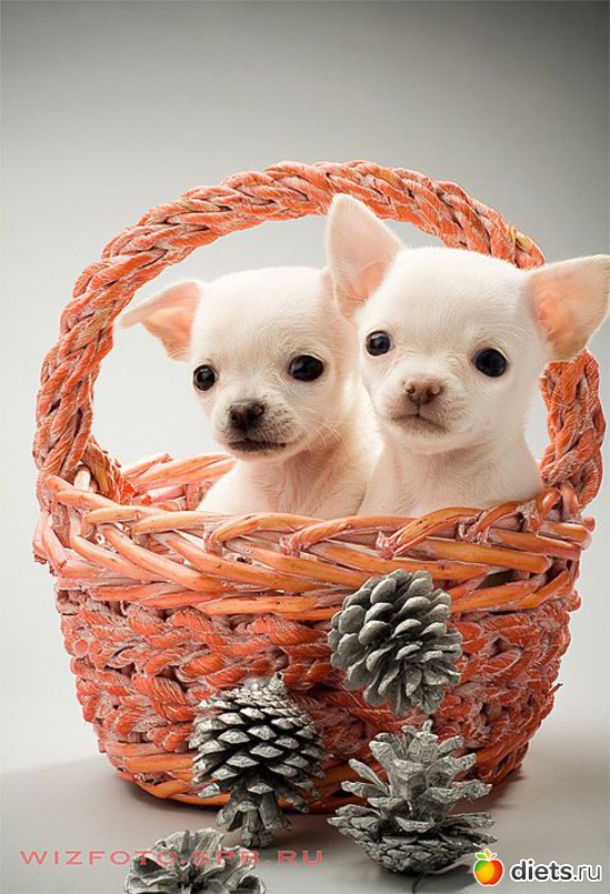 19 ����: ����������))))