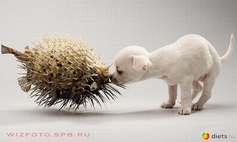 20 ����: ����������))))