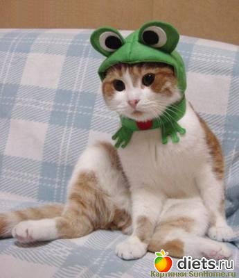 ����������))))