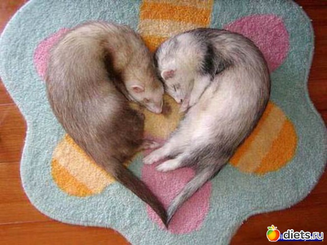 5 фото: Улыбнитесь))))