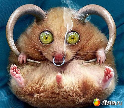 ����������))))