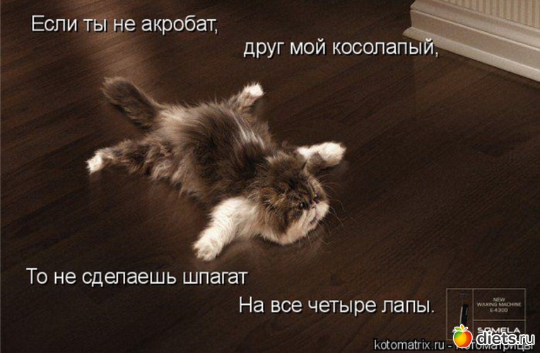 8 ����: ����������))))