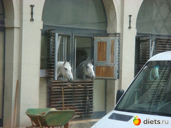 ����, ����������� �������, ������: ������� 2011