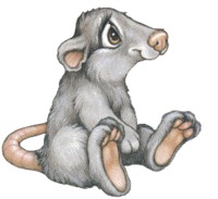 Отчёт за 09.03.11 и 10.03.11