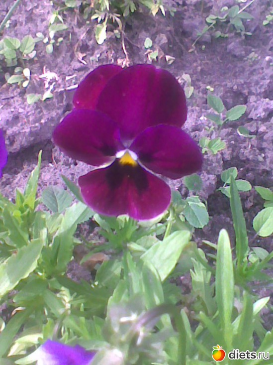 4 ����: ��� �������