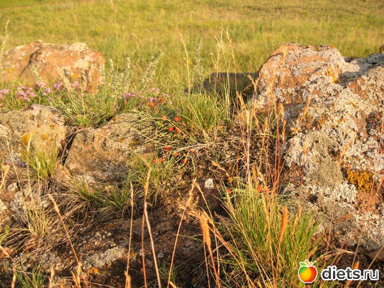 16, альбом: РОССИЯ МОИМИ ГЛАЗАМИ