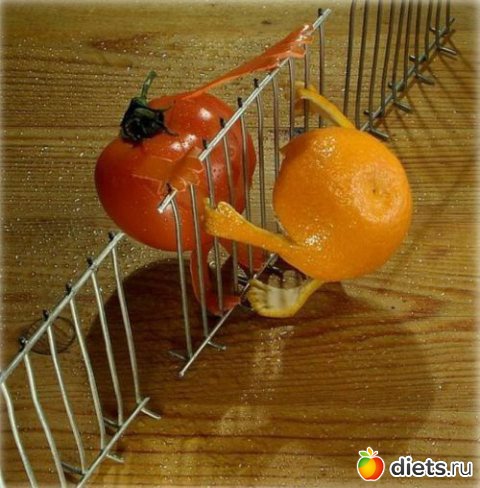 ����������!!!