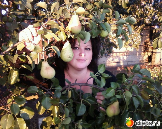 мой сад, альбом: МОИ ФОТО