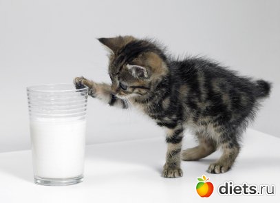 � ���� ���������)