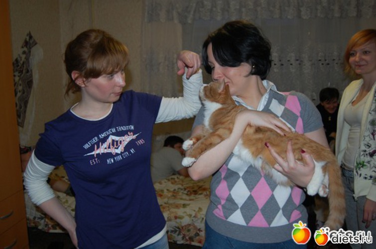 ��-�������� ������ �, ���� ��������� � �, ������: 2011