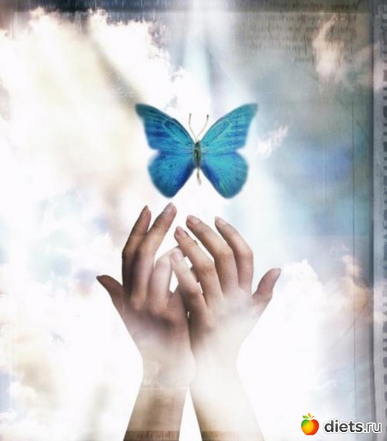 1 ����: ������