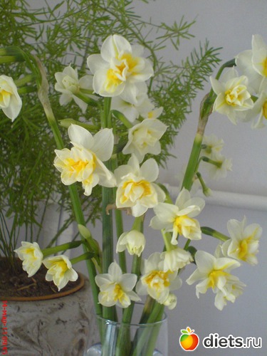 весна, альбом: все обо мне любимой