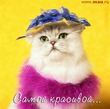 ��� ����� �����?!