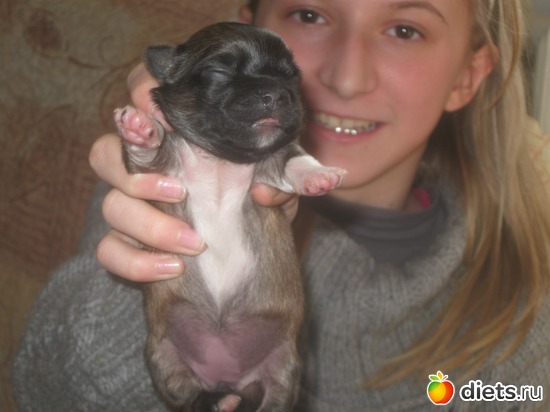 26 фото: Семья