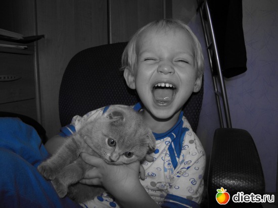 3 ����: ����� �������