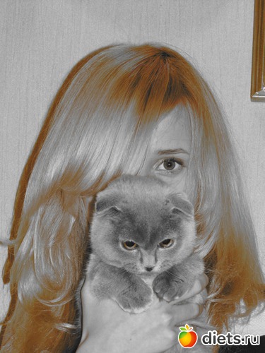 ������� ���, ������: ����� �������