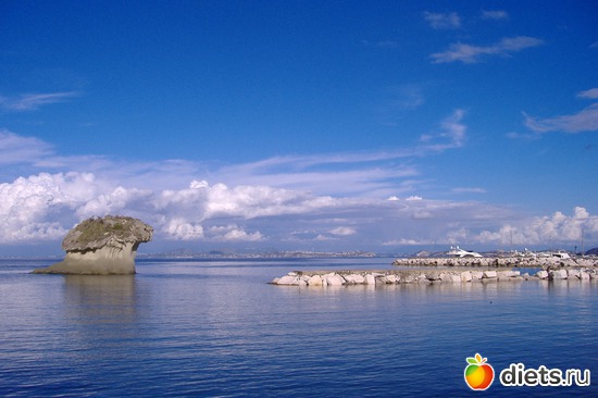 ������. ������ �����, ����-�����, ���������� "fungo" (����)., ������: ��� ��������� ���� ���