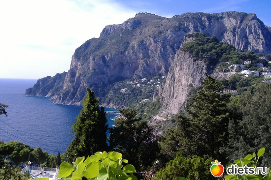 ������. ������ �����., ������: ��� ��������� ���� ���