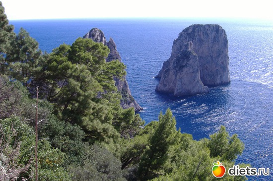 ������. ������ �����., ������: ��� ��������� ���� ���