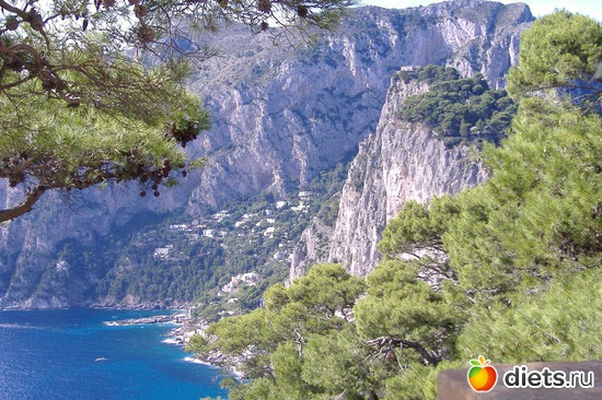 ������. ������ �����., ������: ��� ��������� ���� ���