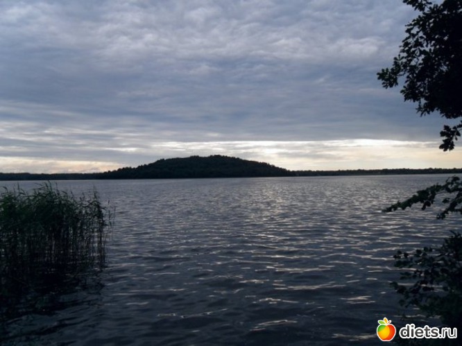 2 фото: Мои фото