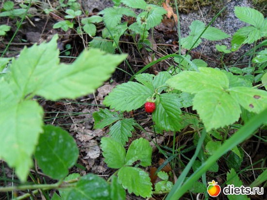 3 фото: Мои фото