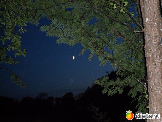 4 фото: Мои фото