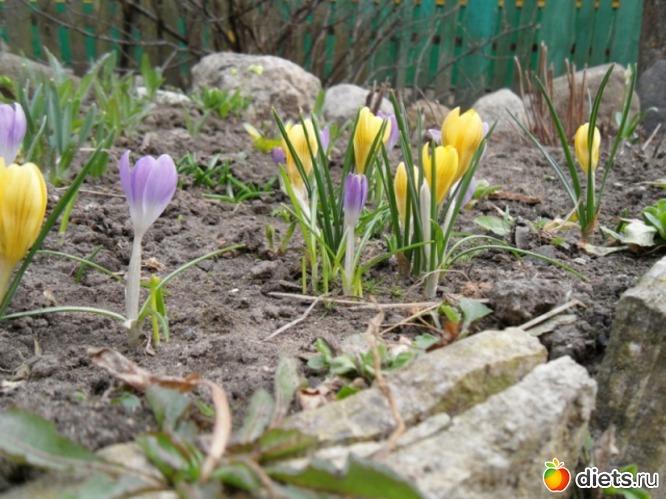 9 фото: Мои фото