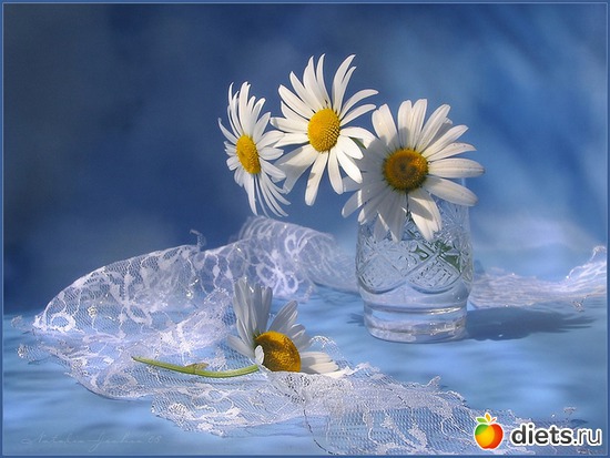 7 фото: пейзажи и цветы