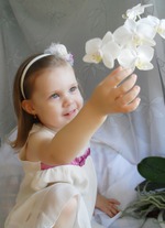 ������ ������ �������...