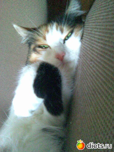 3 фото: Моя Мусенька