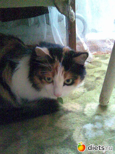 8 фото: Моя Мусенька