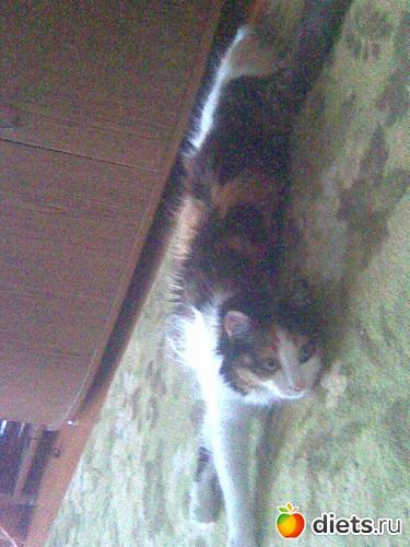 9 фото: Моя Мусенька