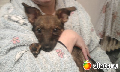 Мася на руках