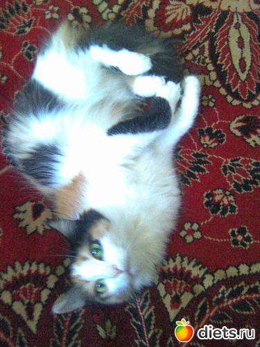 2 фото: Моя Мусенька