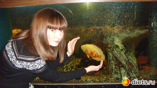 сноха, альбом: Мы отдыхаем