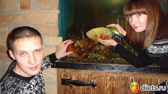 сын и сноха, альбом: Мы отдыхаем