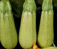 Это можно!!!