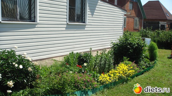 2 ����: �� �� ����