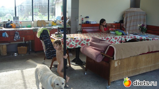 6 ����: �� �� ����