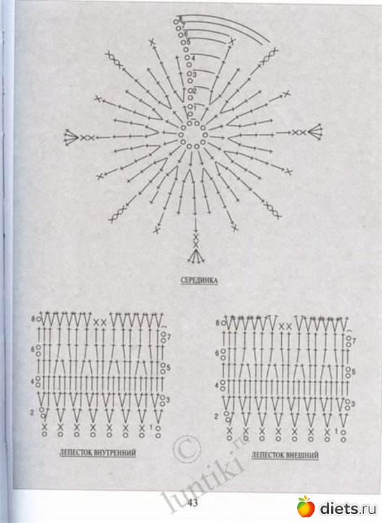 15 фото: цветы крючком