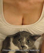 ���� ������!!!