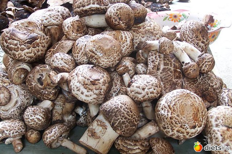 31 фото: Это можно!!!