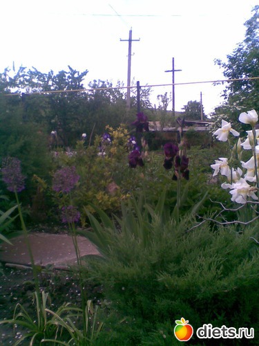 2 ����: ��� �����