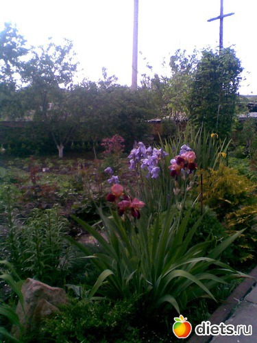 5 ����: ��� �����