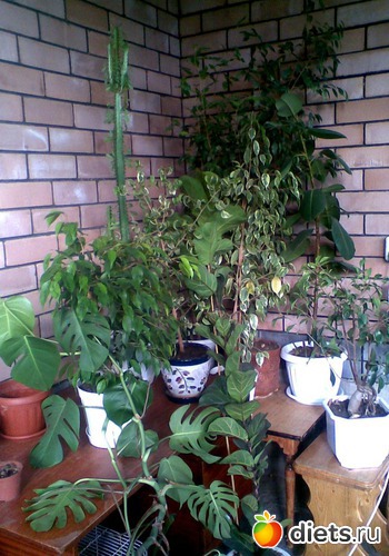 6 ����: ��� �����