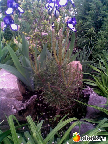 7 ����: ��� �����