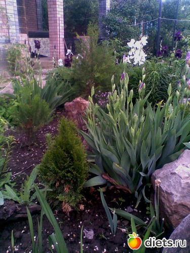 8 ����: ��� �����